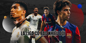 La Liga Có Bao Nhiêu Đội Giải Mã Sức Hút Của Giải Đấu Hàng Đầu Tây Ban Nha